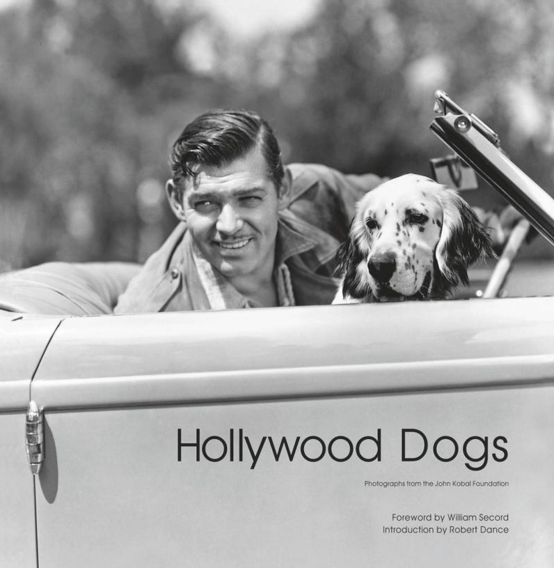 Archivo de fidelidad: Hollywood dogs