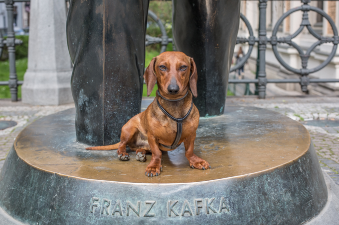 monumento a Franz Kafka.