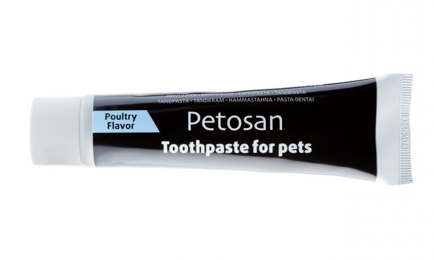 Pasta dental para tu perro