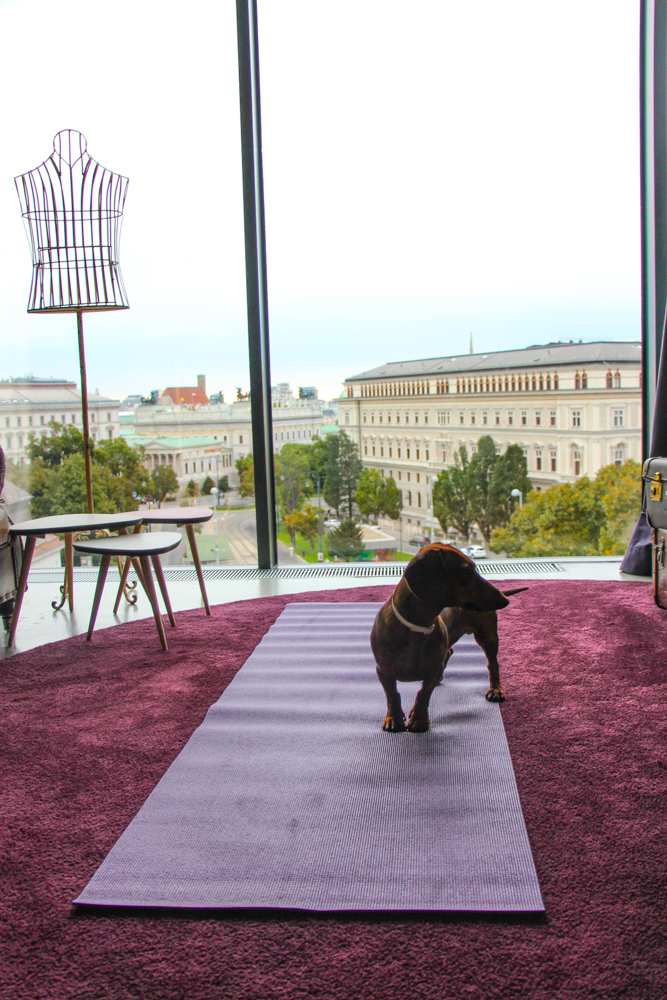 Mant para hacer yoga en la habitación y mirando a Viena.