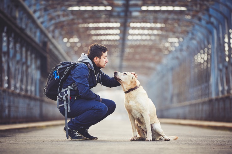 Viaja con tu perro, estas 8 pautas te ayudarán a disfrutar de la Semana Santa con tu mejor compañía.