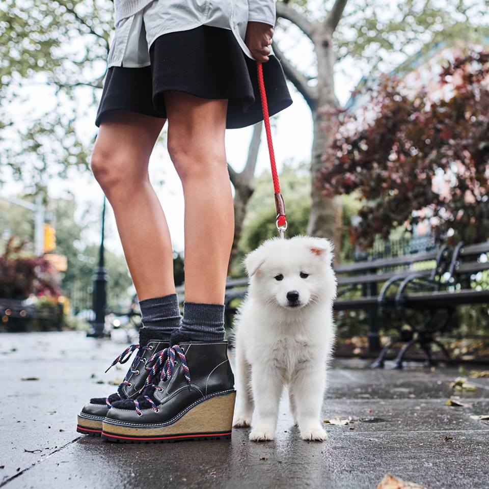 @thedogist