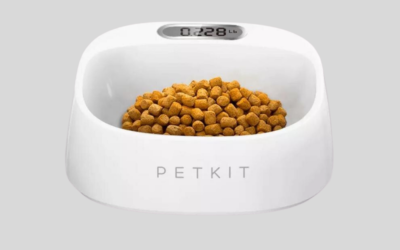 Petkit: el comedero más saludable del mundo