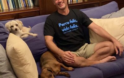 Nueva colección de camisetas Dog Friendly traveler®