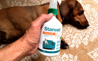 Stanvet Life Spray: refuerzo naturalmente eficaz para ser feliz