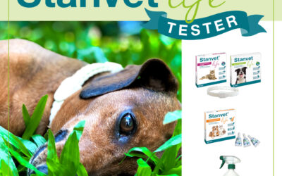 Stangest busca testers Stanvet Life